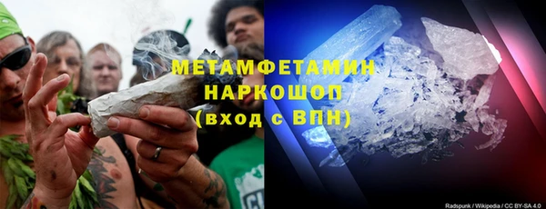 гидра Ельня