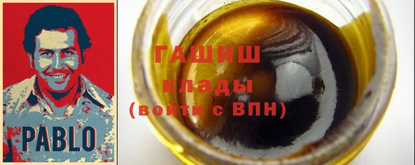 гидра Ельня