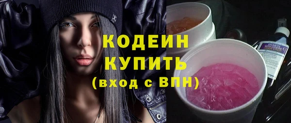 гидра Ельня