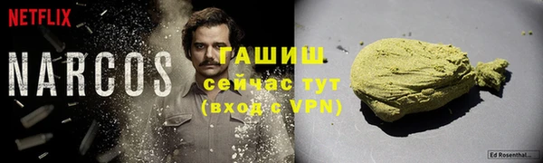 гидра Ельня