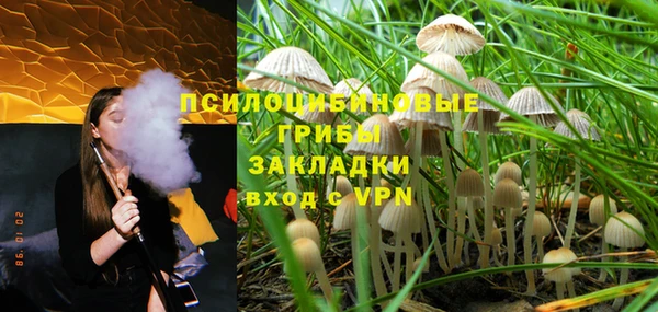 гидра Ельня