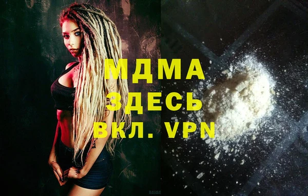 гидра Ельня