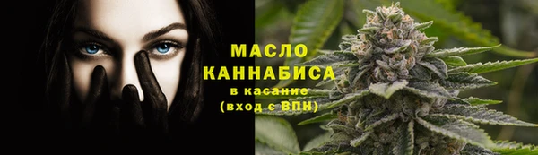 гидра Ельня