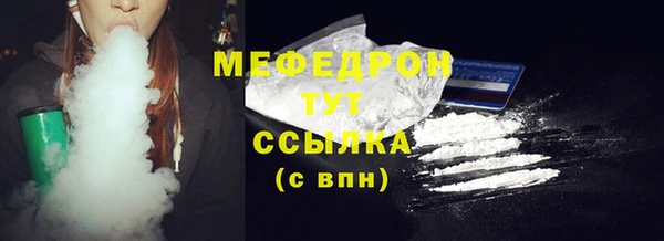 гидра Ельня