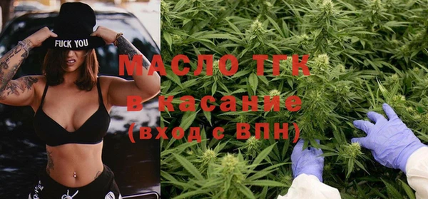 гидра Ельня