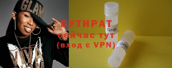гидра Ельня