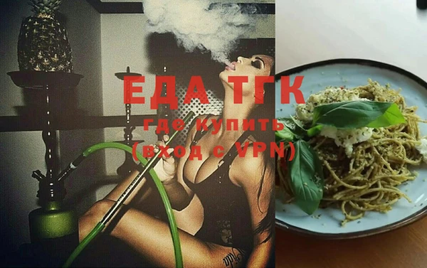 гидра Ельня