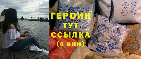 гидра Ельня