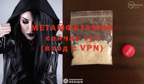 гидра Ельня