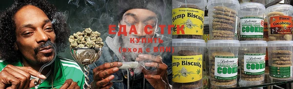 гидра Ельня