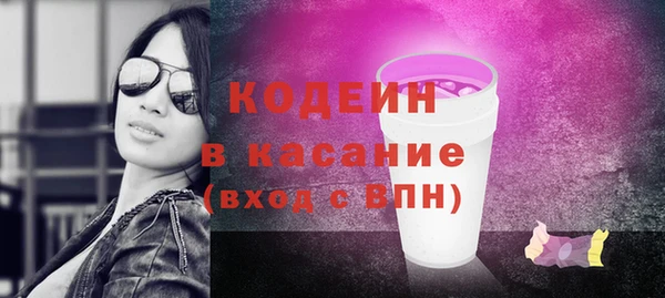 гидра Ельня