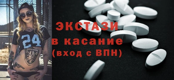 гидра Ельня
