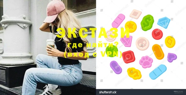 гидра Ельня