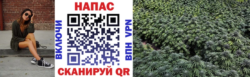 Купить  Лянтор  Марихуана сатива 